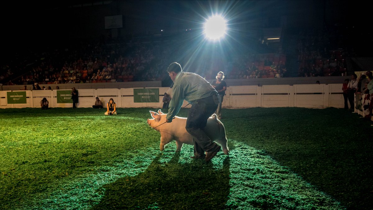 kystatefair's tweet photo. Moments in time at the 2026 Championship Drive 📸

Sponsored by @farmcreditmid https://t.co/Kfiqui0cJV