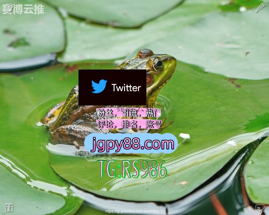 FerracioliKa's tweet photo. 生活没有捷径所有收获都是努力的结果👀
推特账号购买排名号 
评论截流🎉股票代码🌟辅助工具🔥品牌增长👍 推广 海外流量、品牌推广、社媒营销
自动脚本 推特矩阵系统、Twitter矩阵系统、X矩阵系统
批量发帖、多账号管理、推广营销 海外获客🌺互推助手🎌数字货币🍁 https://t.co/4zrZhM652y