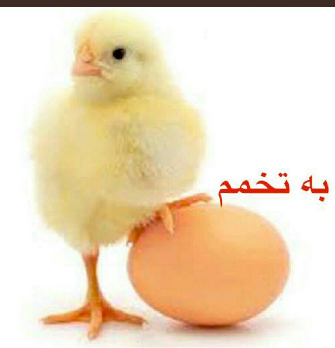 Saeedse6's tweet photo. @javid_shah_1971 https://t.co/MoaKuhZxd7