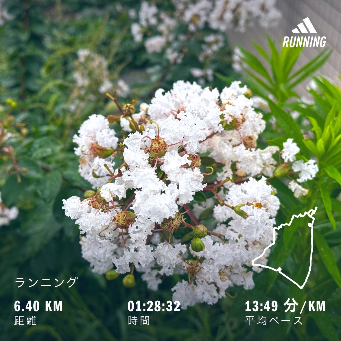 Motakn7's tweet photo. 今日の朝ラン。
ゆるりと走ってきました。

Morning run today. 
I went for an easy jog.

#朝ラン #ランニング #running https://t.co/FAO0PitVHG