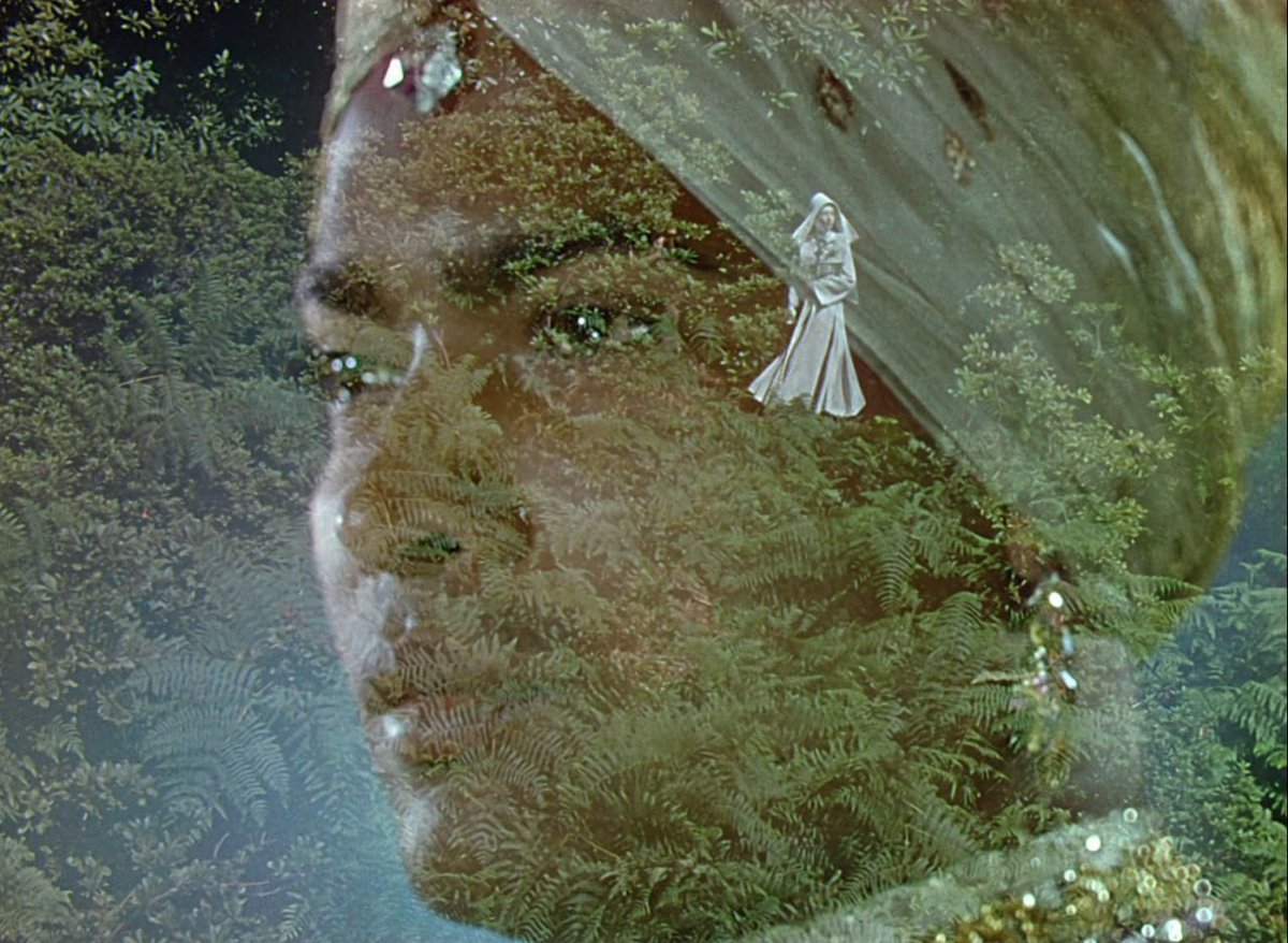 zaaaarbi's tweet photo. Dissolves in Black Narcissus https://t.co/KArMl7wflE