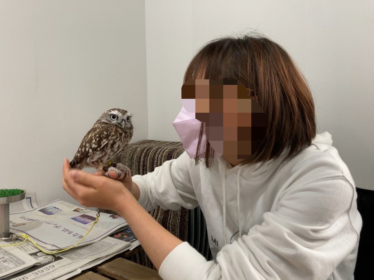 yyyks_'s tweet photo. ヨーロッパモチモチのサイズ感です https://t.co/usmKDe8MH5