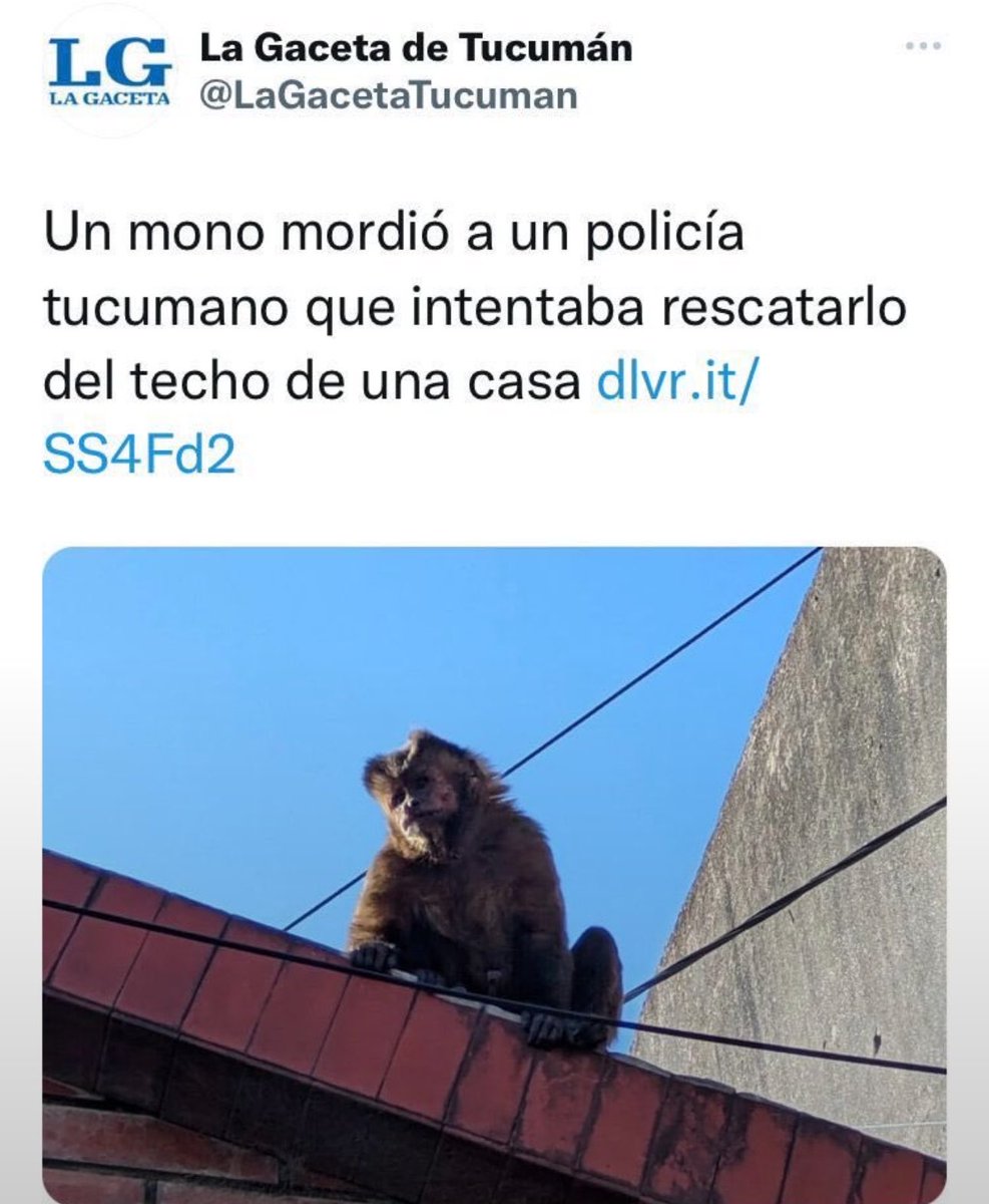 fabipa90's tweet photo. Nueva banda indie https://t.co/7dPelZjKdn