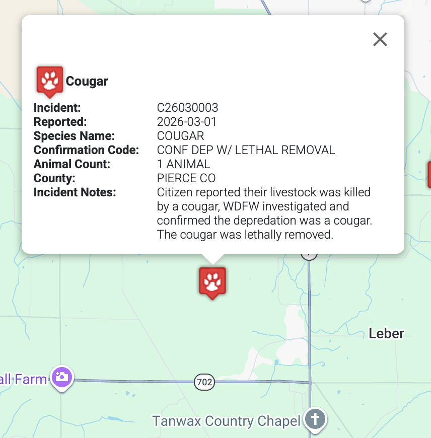 michellezenner's tweet photo. @SaveOurSheriff Cougars are here tho. https://t.co/T8bGhuNY7d