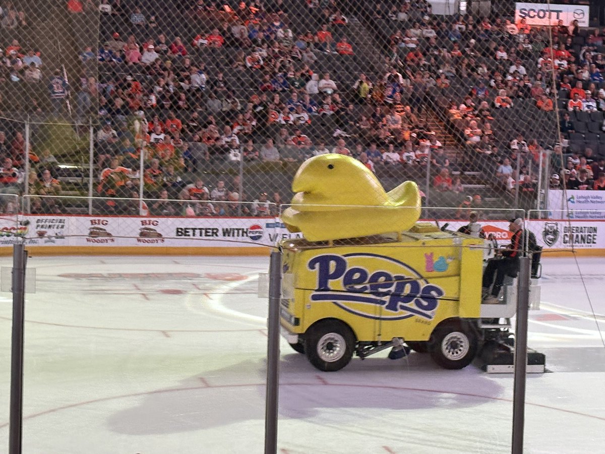 DanUgglaInUggs's tweet photo. get me on that fucking Peeps Zamboni https://t.co/Ox1ZnHrKK9