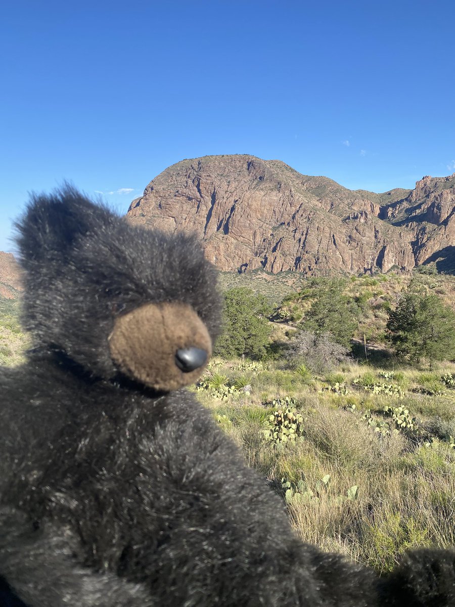 pybiting's tweet photo. Going outside to touch some rocks, brb https://t.co/j6u2HmWx7v