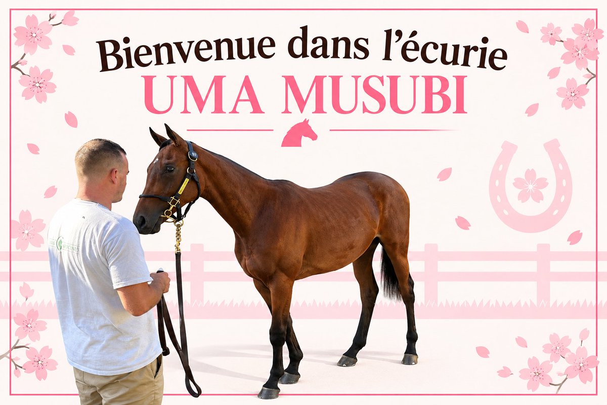 UmaMusubiFR's tweet photo. ANNONCE !

Avec plusieurs membres de l'association, nous avons décidé de créer "L'écurie UMA MUSUBI".

En même temps , nous vous présentons nos deux premiers chevaux !

Achetés durant les ventes @OsarusSales chez @HarasCapucines et @windermerestud ! https://t.co/fCF2PTYSUw