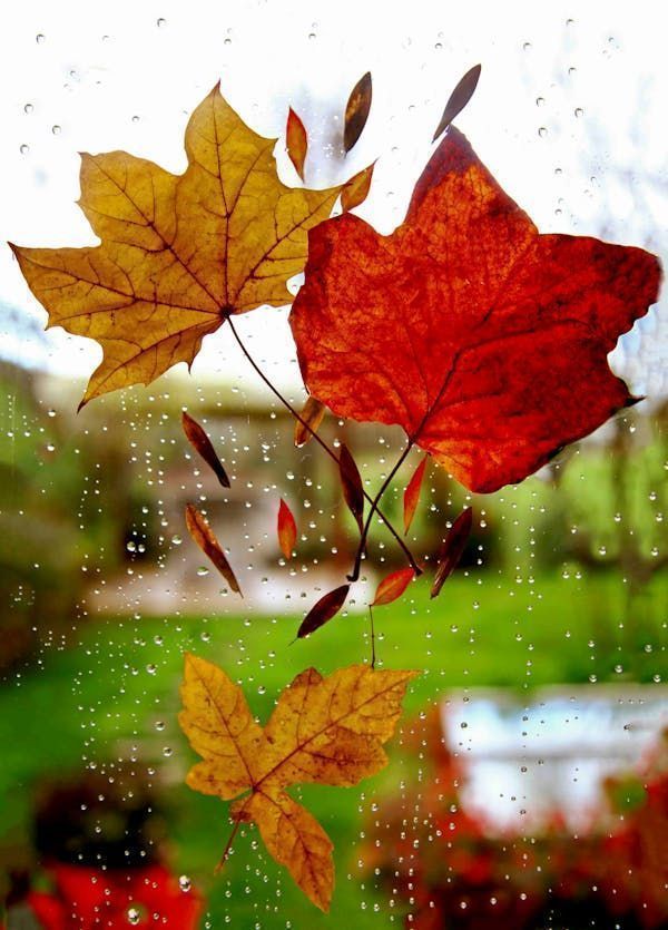 DTNEtiquette's tweet photo. May everything wonderful rain down on you in abundance...~ #DTN #Gratitude #Thankful #Appreciative https://t.co/EHnfb4hsC9