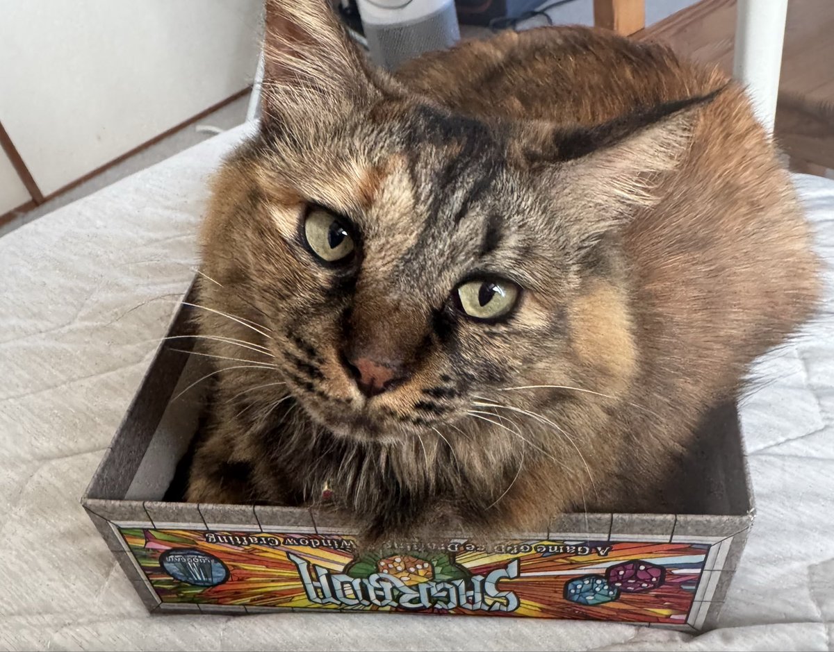 mugineko_do's tweet photo. サグラダ新ルール🎲
リマスター版(欲しい🤩)ではルールに変更があったんですね🧐
個人目標が出目に関係なく3点に統一
プレイ人数に応じて使用するダイスの数がかわる2名50個・3名70個・4名90個😳
A Iiにサクッとマニュアルをつくってもらいました😻
きづいたら娘が上箱で寝ている😂
#サグラダ新ルール https://t.co/EcAnwixTEX