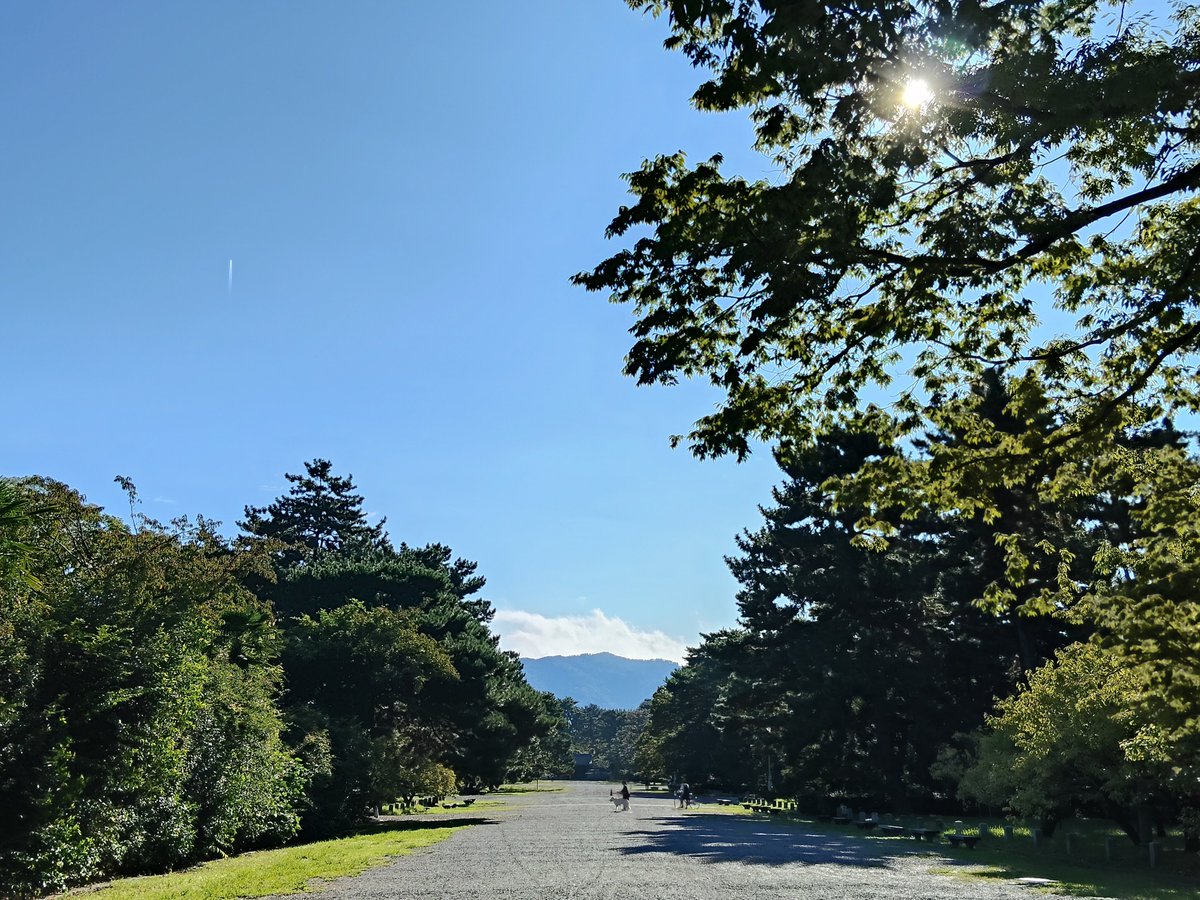Flyingsheep1326's tweet photo. おはようございます☀
Day2もよろしくお願いします😆
#CRCあり方会議 https://t.co/eXd3wNEzNQ