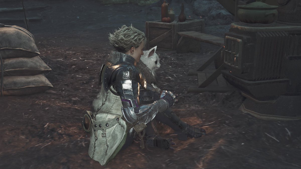 svalbird's tweet photo. I saw Olivia and Athos both hanging out at the furnace and was like “Awhhh cute” and went to take a photo but they immediately turned and looked directly at me 😭 https://t.co/YXyq4lvmmR