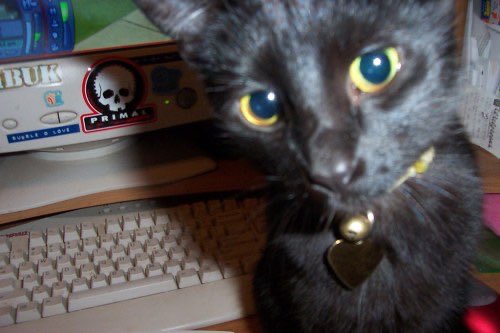OldInternetFeel's tweet photo. 2001 https://t.co/NeiyBX5I91