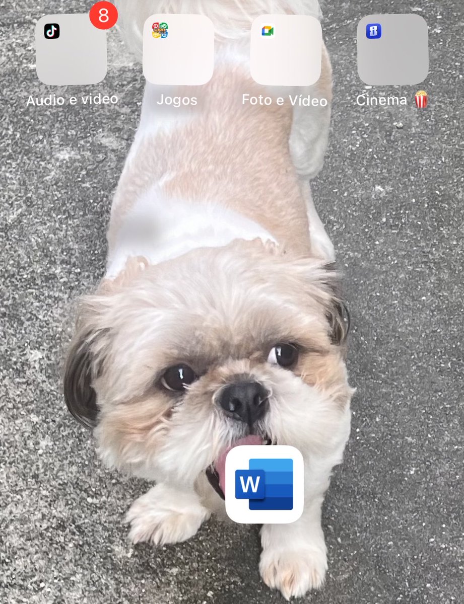 bewitchedaudrey's tweet photo. querida professora, infelizmente não poderei entregar meu trabalho porque meu cachorro comeu o trabalho que estava feito no word https://t.co/ycXS6d0MNr