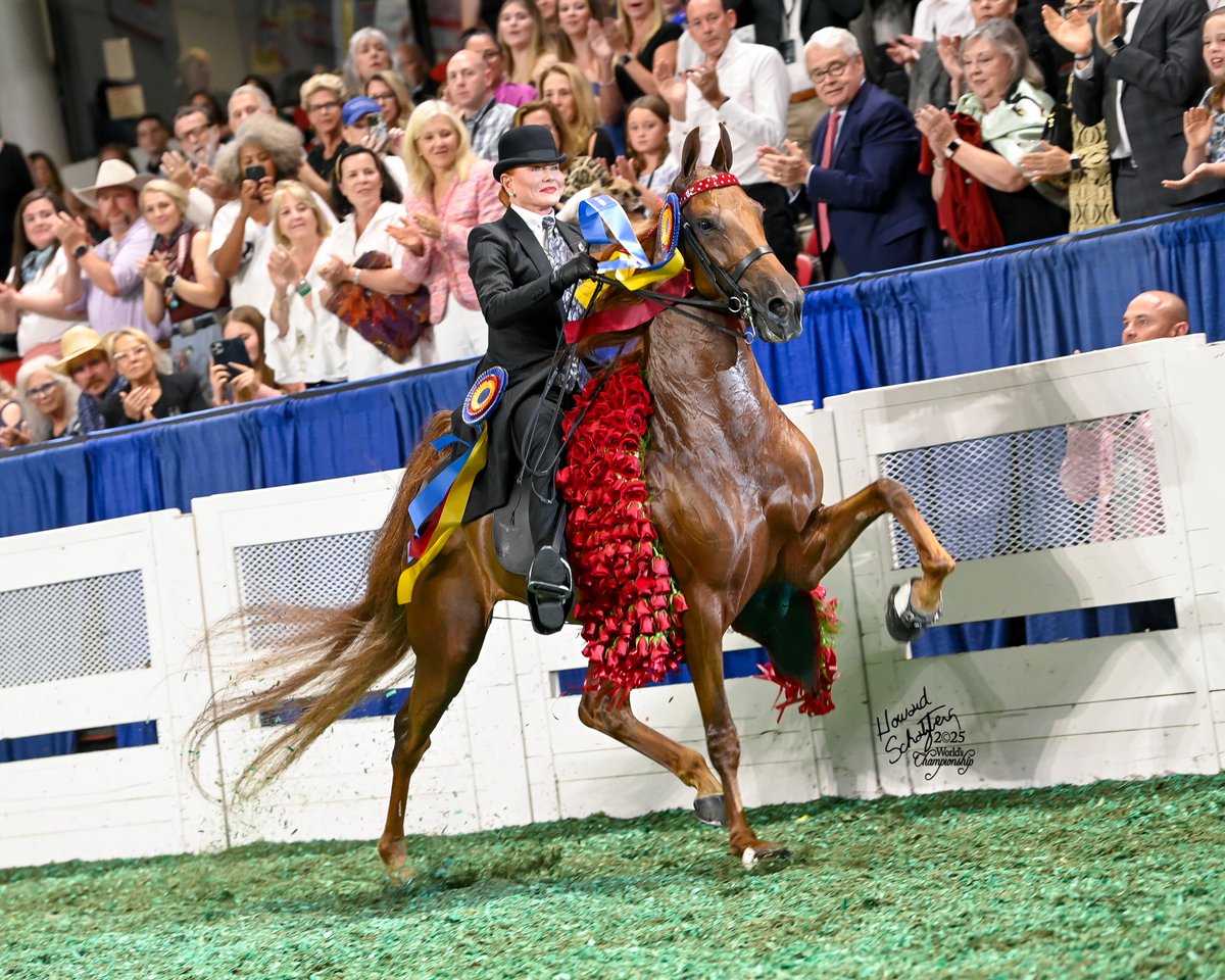 KyVenues's tweet photo. 62,000 entries. Six events. All produced right here by Kentucky Venues.

🚜 National Farm Machinery Show
💨 Championship Tractor Pull
🐻 Kentucky State Fair
🐴 World Championship Horse Show
🐽 NAILE
🐂 North American Championship Rodeo

Which one have you entered in? https://t.co/BC4gPSgG5Q