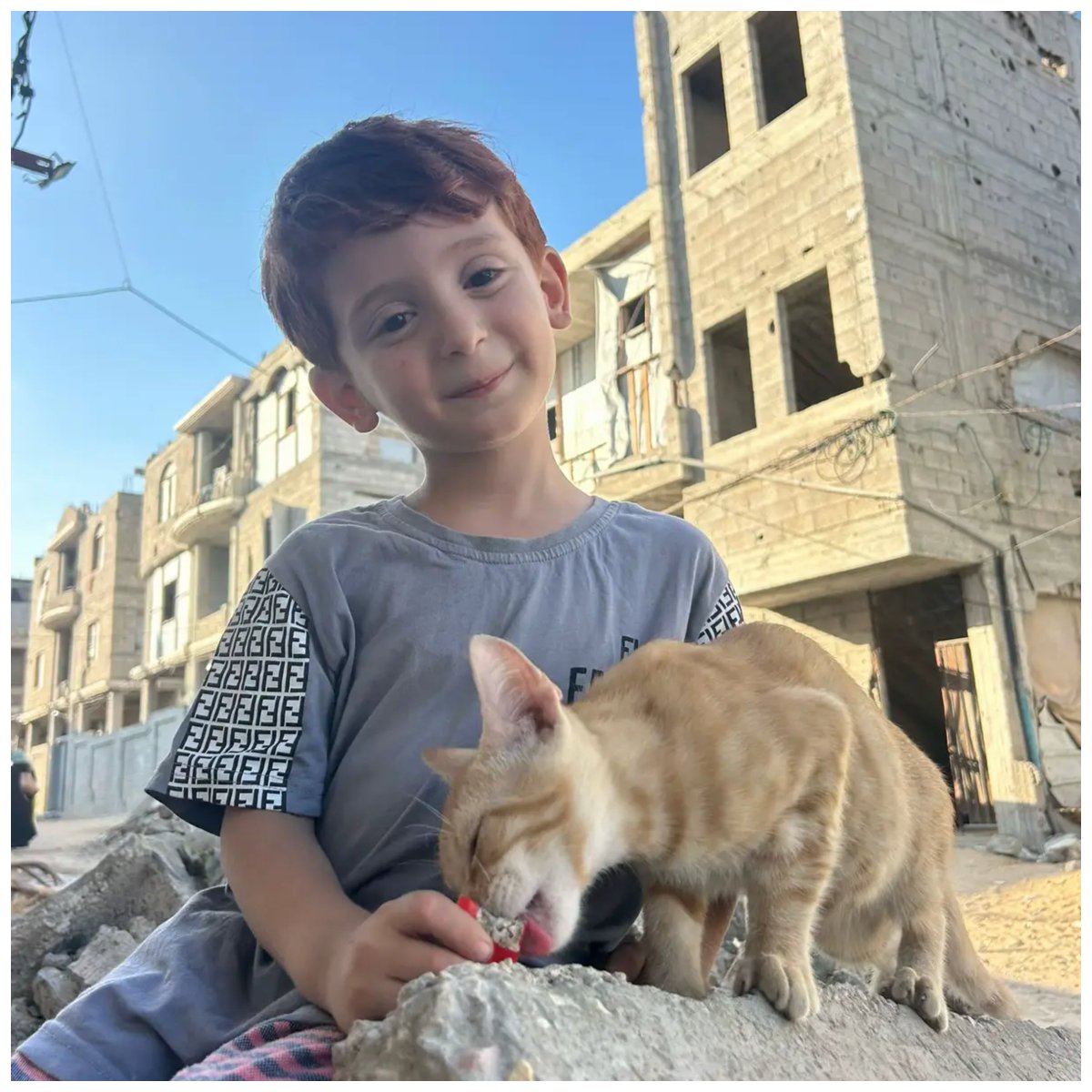 RyanRozbiani's tweet photo. This is Amro he lives in Gaza

The world failed these children.

He has nothing, yet he still shows kindness to a cat. https://t.co/Lv1ELlFIio