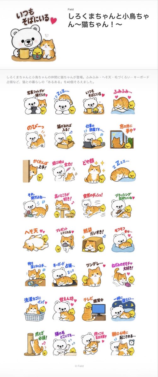FieldValueUp's tweet photo. しろくまちゃんと小鳥ちゃんの家に猫ちゃんが？！
猫ちゃんあるあるのLINEスタンプ「しろくまちゃんと小鳥ちゃん～猫ちゃん！～」です！

#法人決算シミュレーター #個人確定申告シミュレーター #イラスト #イメージキャラクター #LINEスタンプクリエーター #LINEスタンプ #ブルバ #ブルーバッチ #ブルバ１００
https://t.co/frZBZK73Nh