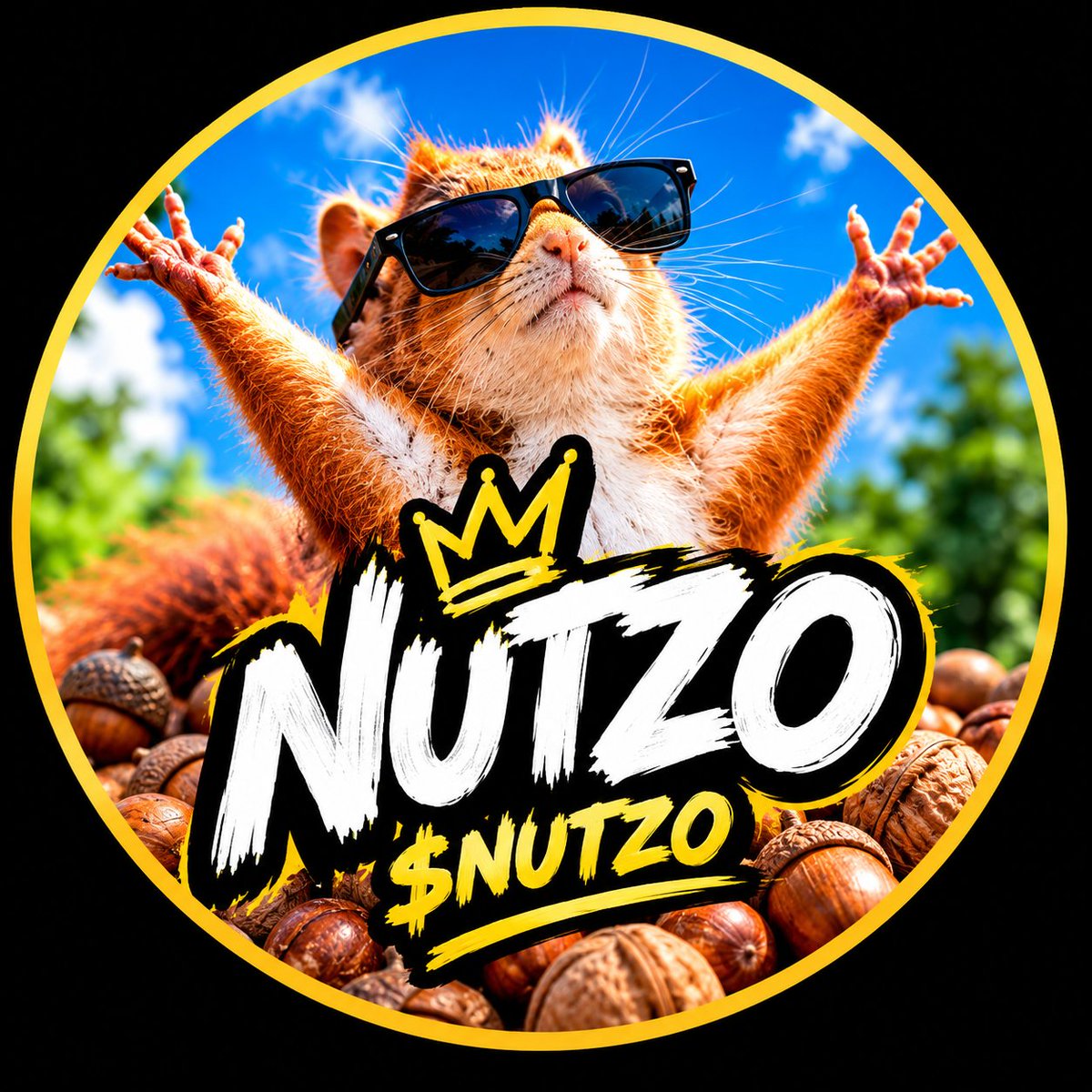 nutzoz's tweet photo. 🐿️🥜 Something NUTTY is coming...
Meet $NUTZO.
The internet's favorite squirrel is getting ready. 👀
Are you early? 🥜
$NUTZO is coming.
#solana #memecoin #nutzo https://t.co/EmTIR0rob2