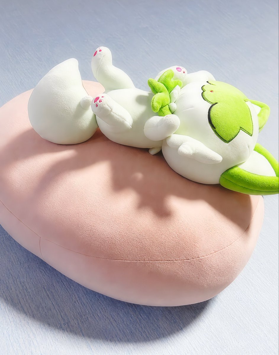 oo73255568's tweet photo. 無印良品で買ったクッションもちもち
最高🥳🥳🥳
ニャオハもぐっすり(  ˊ꒳ˋ ) ᐝ https://t.co/jHlObBjnQ9
