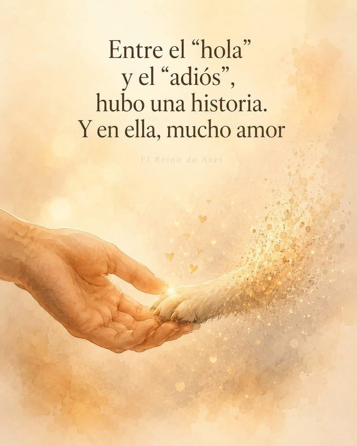 rey_latino33087's tweet photo. https://t.co/JK29CkxbNh