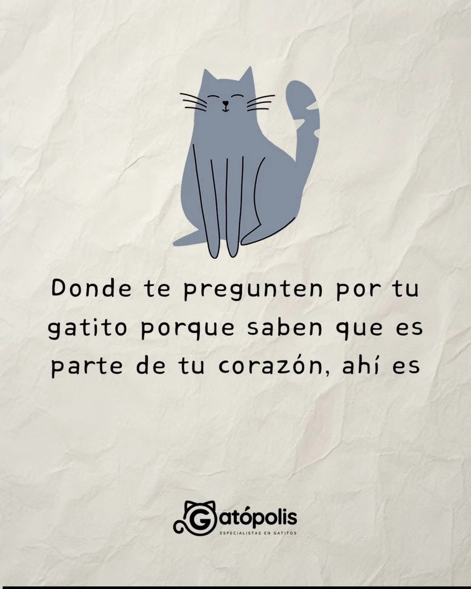 AngeObscure's tweet photo. Claro https://t.co/VVINiEXqkB