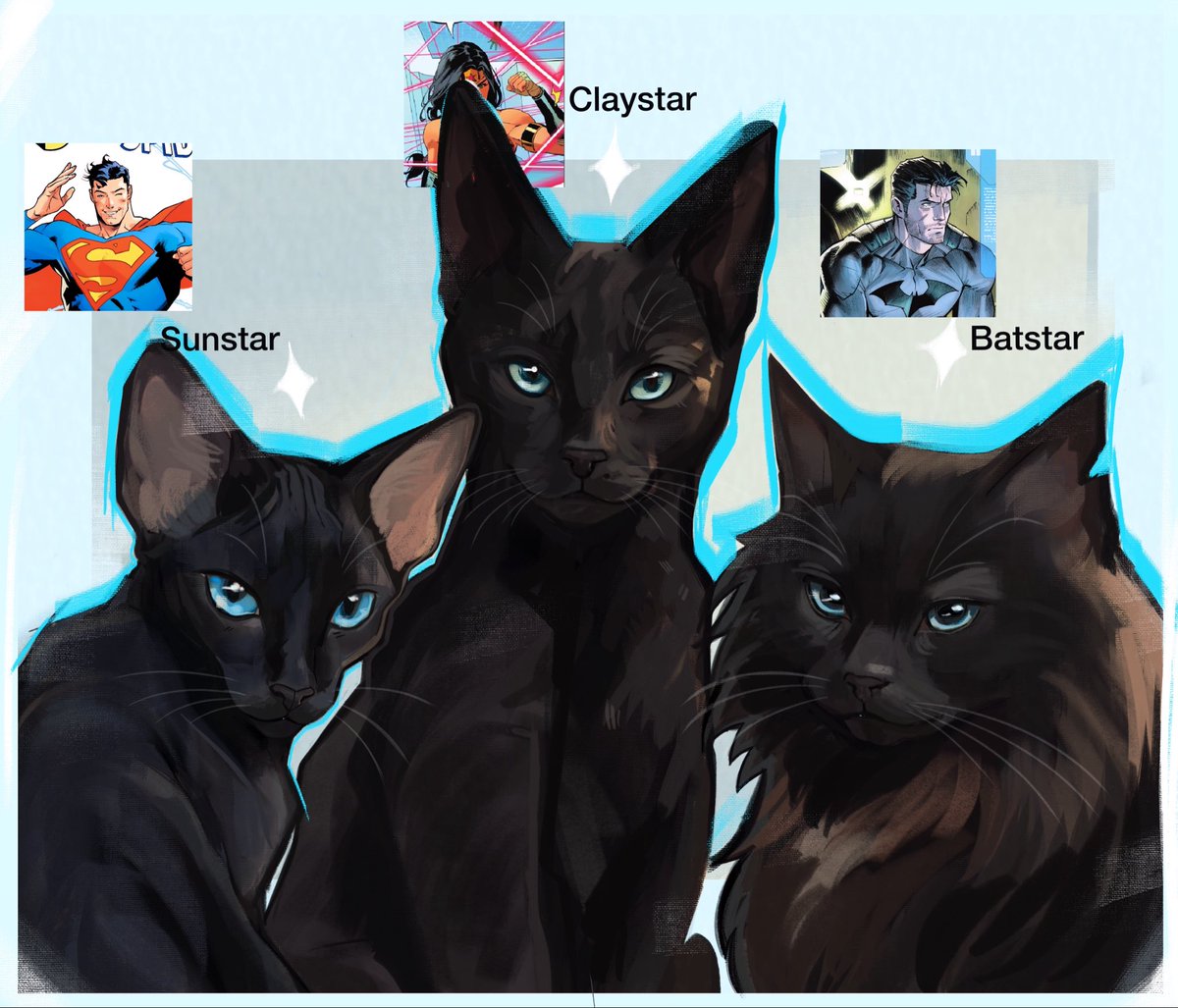 pommepony's tweet photo. our clan leaders all need contacts. 
🐈‍⬛ 🐈‍⬛ 🐈‍⬛ 

#dctrinity https://t.co/3n0b4eYFyb