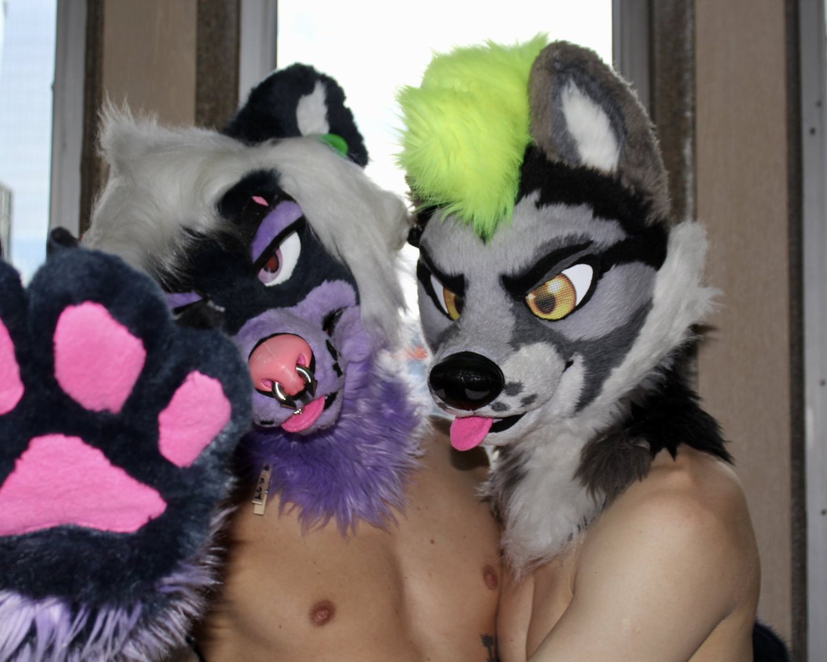 SaveliyFox's tweet photo. Foxtrapped💞 https://t.co/teAzsqa9gP