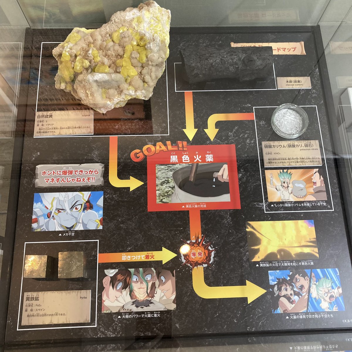 shimeji_dcst's tweet photo. 2022年に国立科学博物館とDr.STONEはコラボしております！
マジでガチで今までのコラボでダントツ1位なくらい最高すぎたので、
新規ファンの為にもリバイバルしていただきたい😭🙏私ももう一回行きたい🙏
展示も解説ボイスも良すぎて幸せだった😭
https://t.co/FOrvkx5P80 https://t.co/b6goH6J8sa