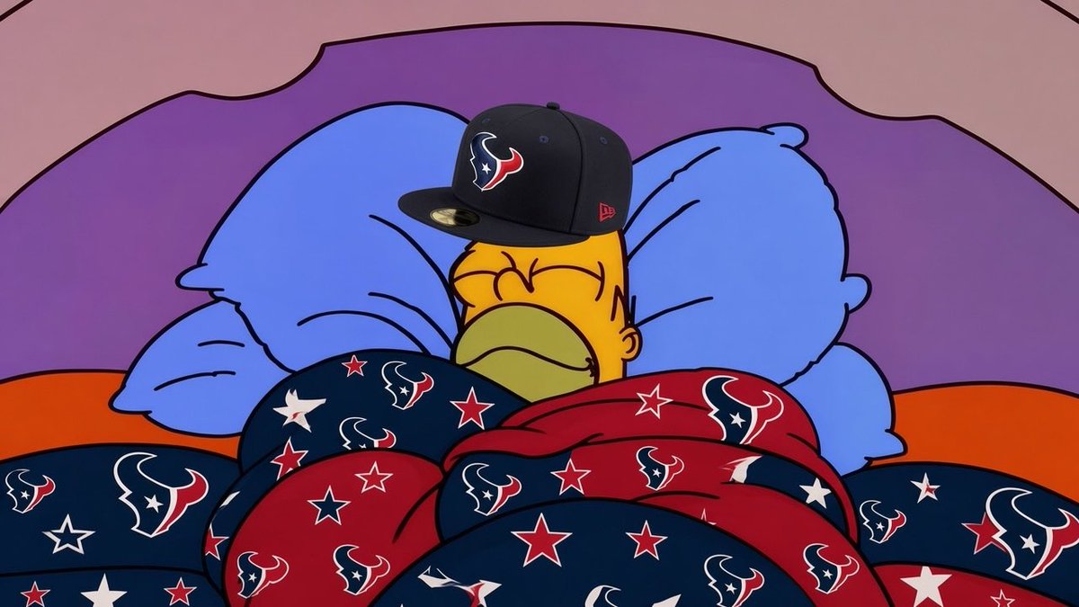 JuansTweeter's tweet photo. Houston Texans fans sleeping tonight #HTownMade https://t.co/lFFl801HRK