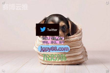 DHermay's tweet photo. 愿你历经沧桑仍对世界温柔以待���
推特账号购买多账号管理、批量发帖、内容同步 
推特账号 软件获客、海外推广、流量增长 推广
海外获客🪐主人的任务🌱 粉丝号
推特软件 自动脚本 https://t.co/fsW4plKZU1