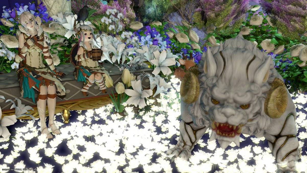 Peneff14's tweet photo. 復帰後はじめてゆんちゃに会ってお喋りしながら魔獣レベリングしたり捕まえに行ったり、SS撮ったり盛り沢山楽しんだ♥♥SPthx〜(˘❥˘)
#おはララ #Studio_ArcL
#FF14SS #FF14 #おはウラ https://t.co/NQN2haa6h3