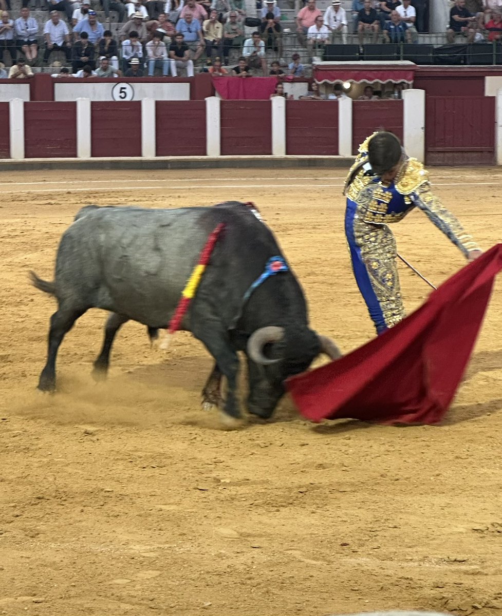 CrusatIreneVOX's tweet photo. “Un torero no puede comprobar nunca la obra de arte que realiza.”
Ernest Hemingway, El verano peligroso. https://t.co/A31onwgkjh