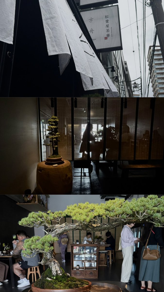 yu1t0j0's tweet photo. 🔖 松葉屋茶寮・方舟GALLERY （表参道）

抹茶ラテも美味しかったし期間限定のメロンのロールケーキが本当にすごく美味しかった!!꒰ᐡ⸝⸝ᴗ̤  ̫ ɞ̴̶̷⸝⸝꒱🩷 https://t.co/NdE3YJjX3d