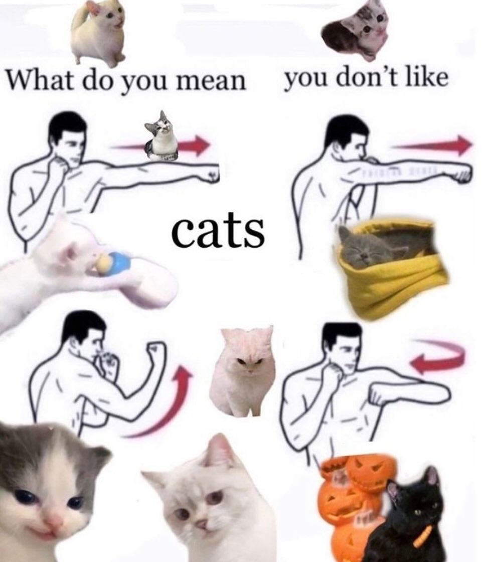 PunchingCat's tweet photo. https://t.co/GcaH3n8DUs