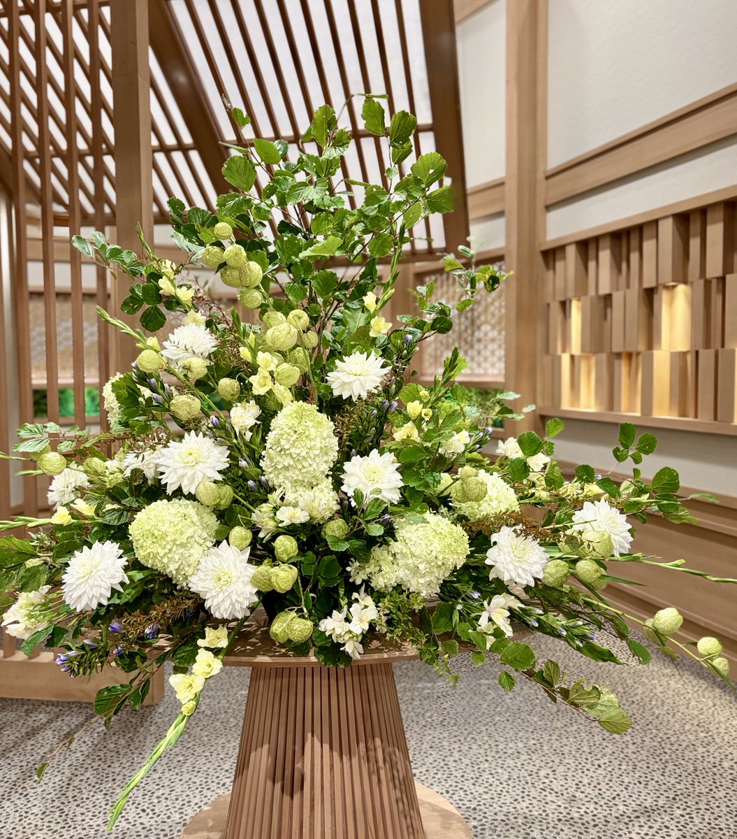 Sunday_M_TBS's tweet photo. 🌼 #サンデーモーニング今週のお花 🌼

🌸 #マンサク
🌸 #フウセントウワタ
🌸 #ダリア https://t.co/axYqEi5xHz