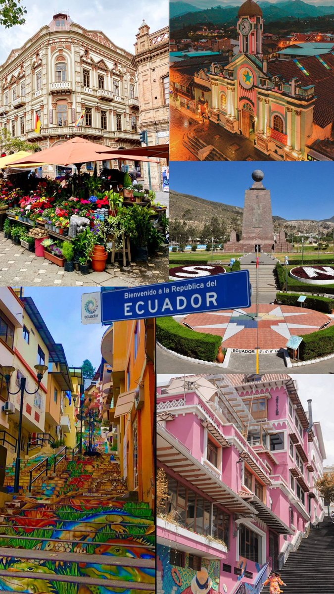 staysunshinees's tweet photo. 🧵 razones por las que creo que stray kids debería venir a ecuador 🇪🇨
ECUADOR NEEDS STRAY KIDS
@jypnation @StrayKids
#SKZenEcuador
#EcuadorNeedsStrayKids
#BringSKZToEcuador
#RunitEcuador https://t.co/Ak0MlTOjxA