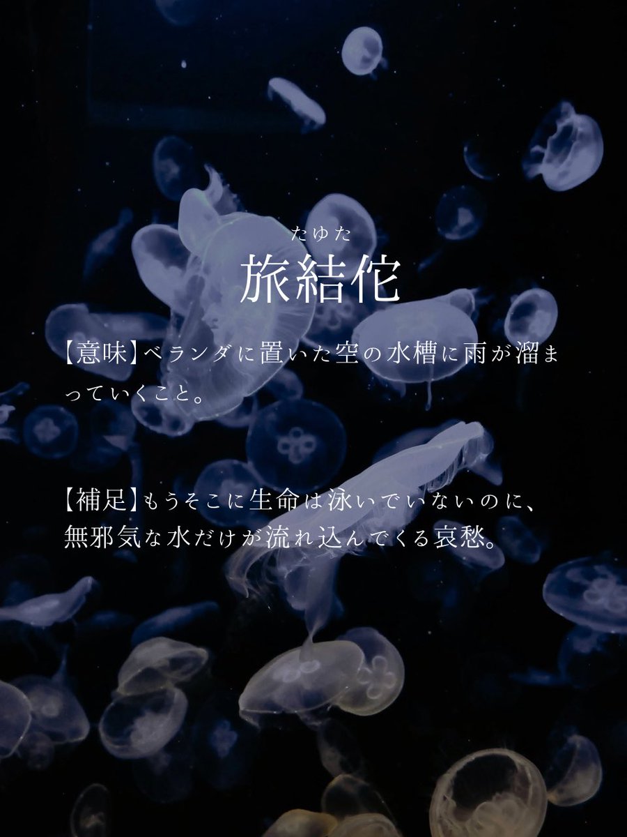 mikadukiame's tweet photo. 残されゆく命についての言葉 https://t.co/W4Ig2AJqhr
