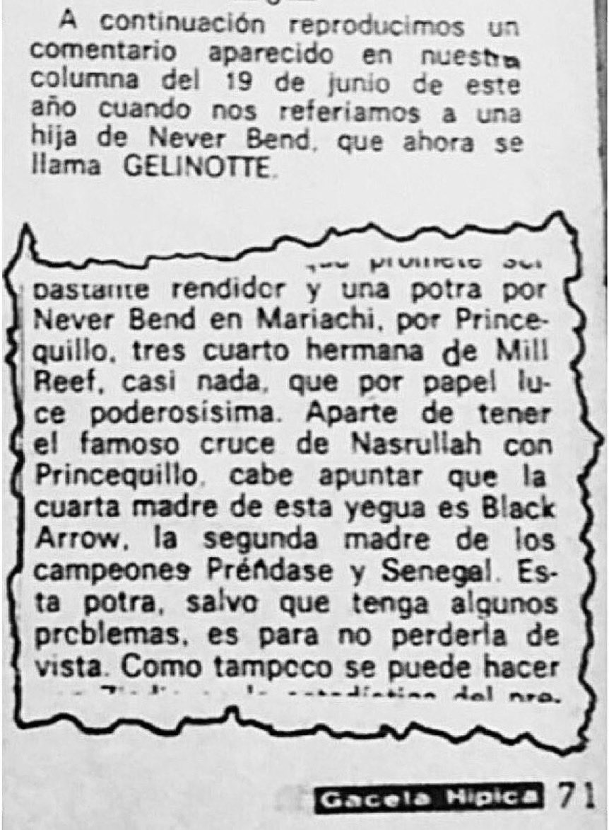 JLDangeloDuran's tweet photo. Con motivo de correrse el Clásico GELINOTTE uno de los purasangres más famosos del hipismo venezolano 

Lean este Comentario que hice cuando aún no sabíamos ni su nombre, el 19 de junio de 1979, en mi columna Hipismo Para Todos en Gaceta Hipica, antes de su debut el 12-8-1979 https://t.co/f6hE9gMqmd
