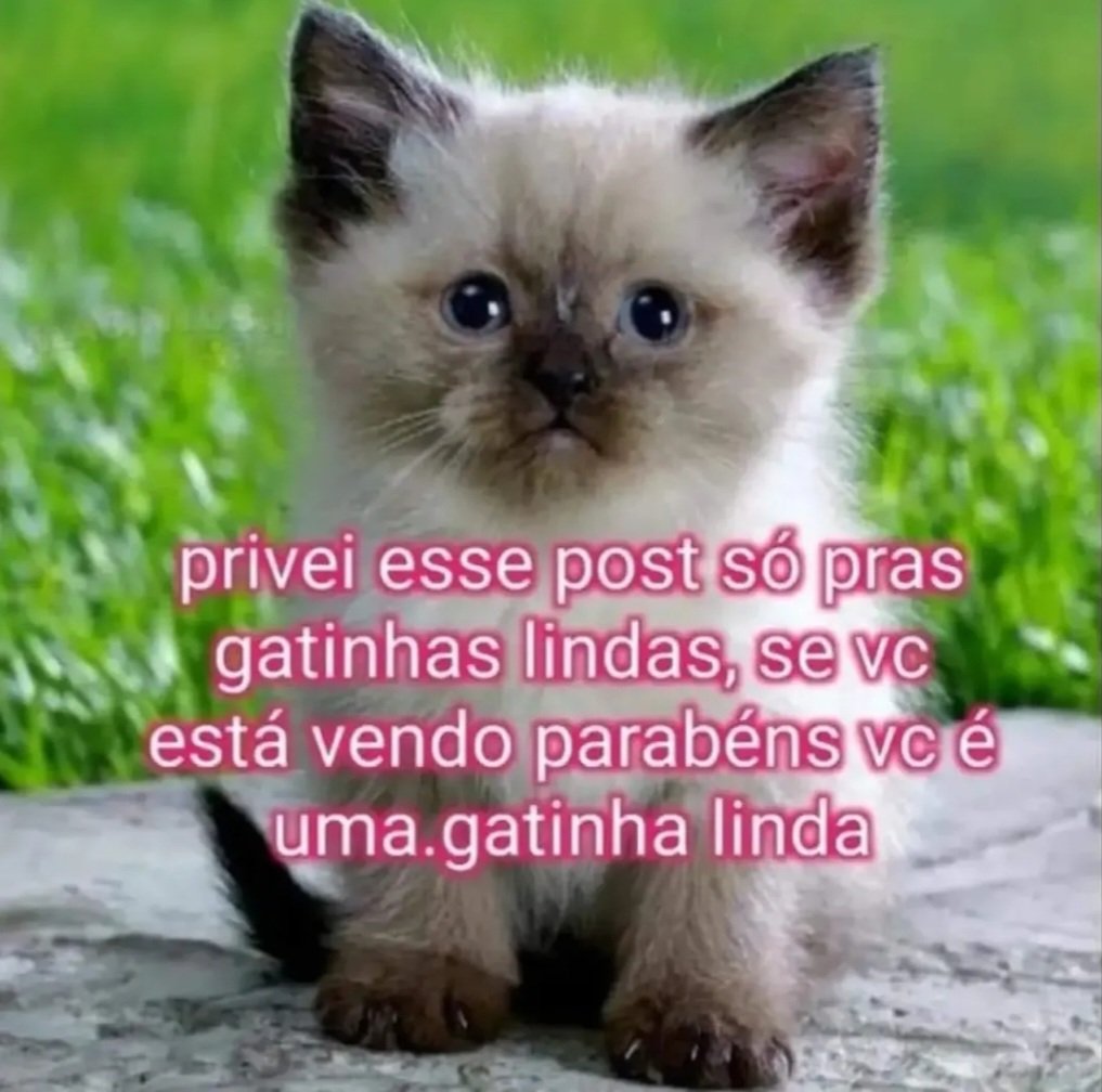 BrKamu's tweet photo. Como é possível 3 das minhas tentativas de namoro as 3 terem uma segunda opção e ainda escolherem o outro, sou o próprio Satanás só pode https://t.co/7VhXUwthWM