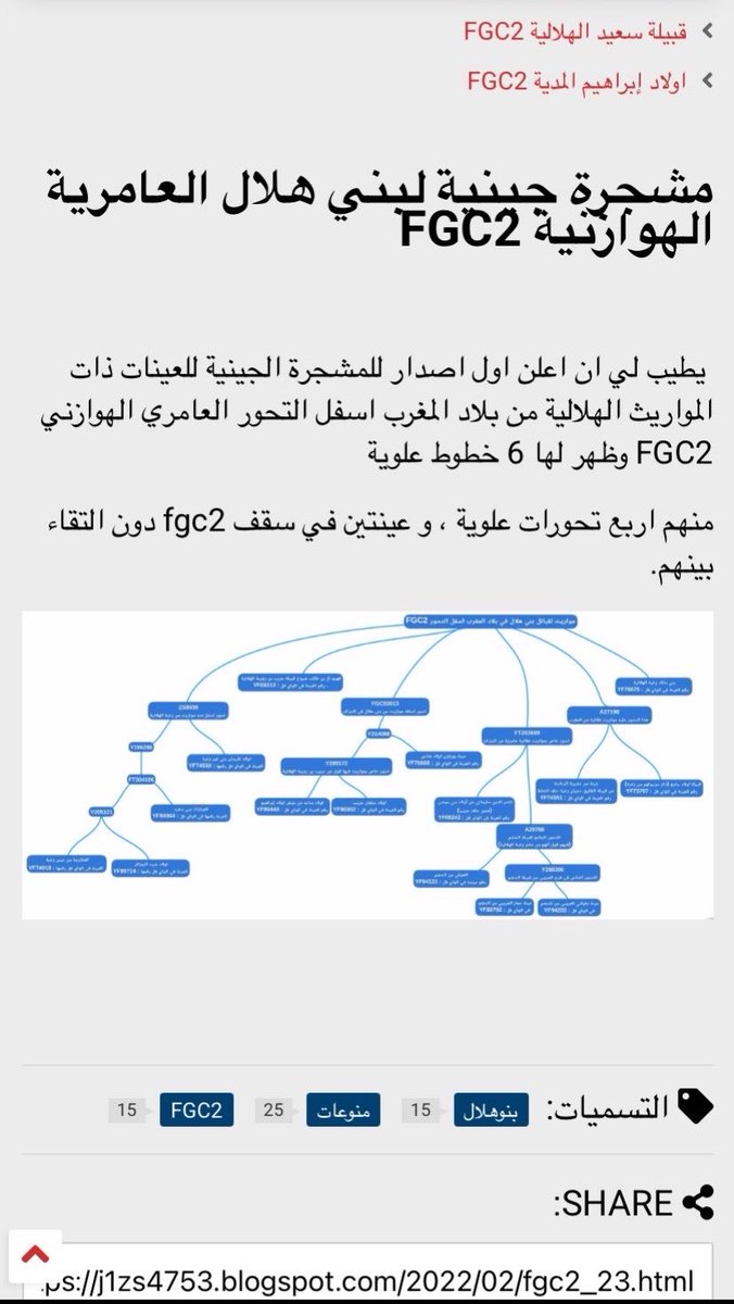 8vxmf's tweet photo. اصرح قبائل بني هلال بن عامر اسفلFGC2 ومستمرين في فحص البيوت الهلاليه العامريه https://t.co/1mPfPgwkha