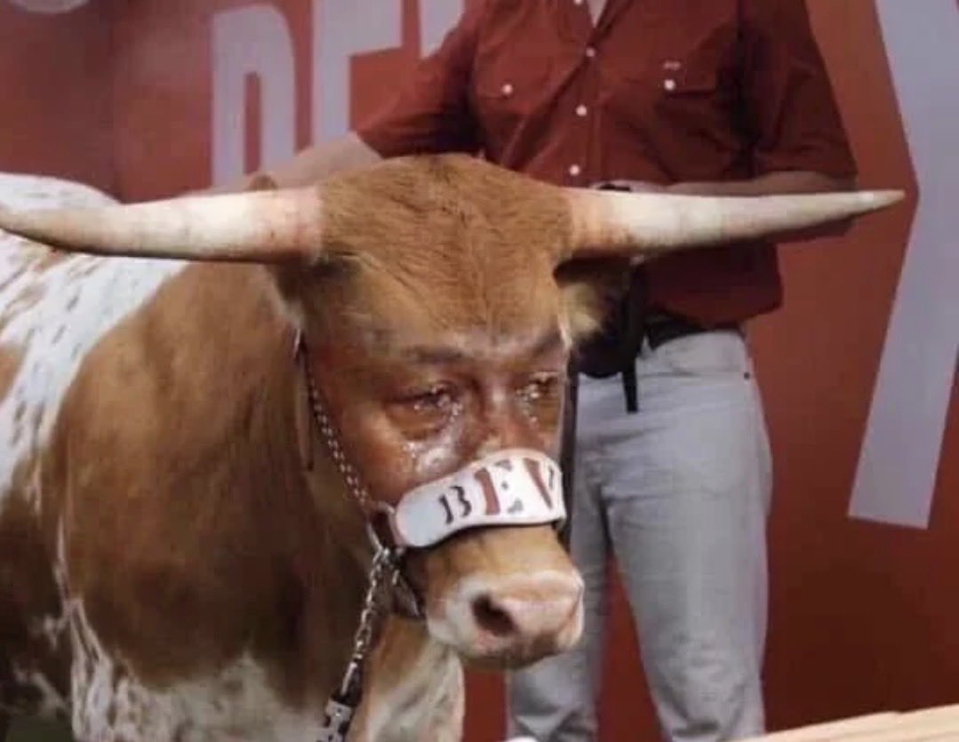 CSOonX's tweet photo. Bevo watching Texas fumble on the 1st play: https://t.co/ii6eera89n