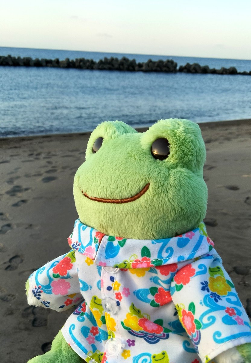 obarafan_523's tweet photo. 9月の海🌇を楽しみました🐸✨
#かえるのピクルス https://t.co/C0212XABbV