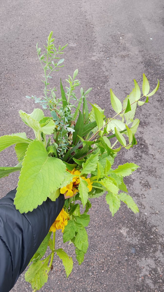 Dugonski_'s tweet photo. Seis dias, seis banhos 
Amanhã é o dia de fazer a iniciação na religião que me escolheu 
Saravá a lei de umbanda 🌿🙏🏻 https://t.co/8JuzW2ufMc