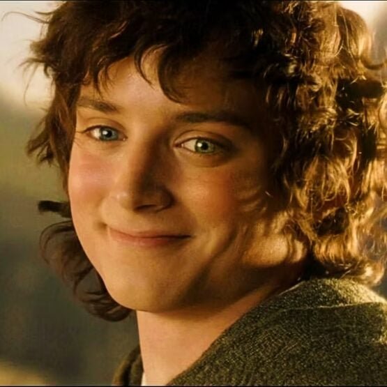 TucoRatos's tweet photo. O elijah wood de Frodo em senhor dos anéis é o verdadeiro Bbzao https://t.co/p58Uj5eS6m