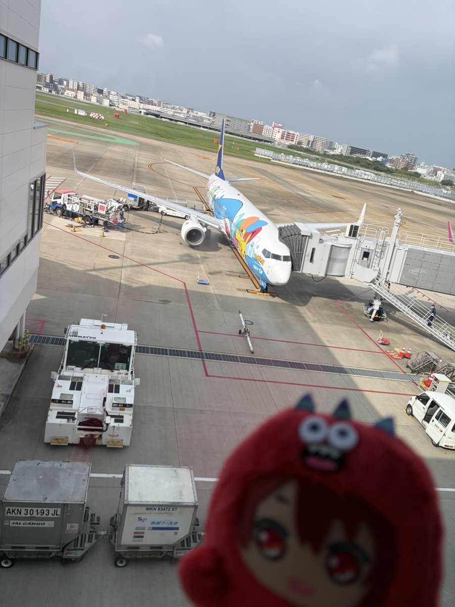 meeely_17's tweet photo. 無事に福岡着いた！✈️
ピカチュウジェットで、アイナナマネージャーいっぱい乗ってたw https://t.co/Dfu8D5kB3i