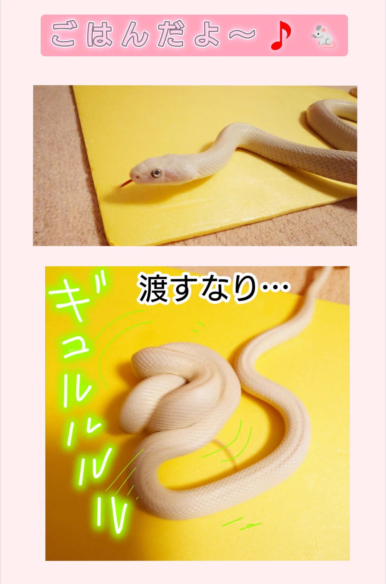 みい♥️ひめ日記 on X: 