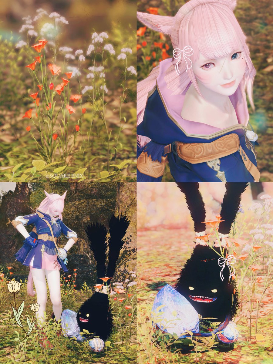 rene_xiv's tweet photo. 🐾🖤
#おはミコ https://t.co/E5HhLHJxFB