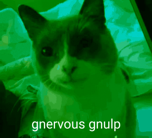 Mooych tweet picture
