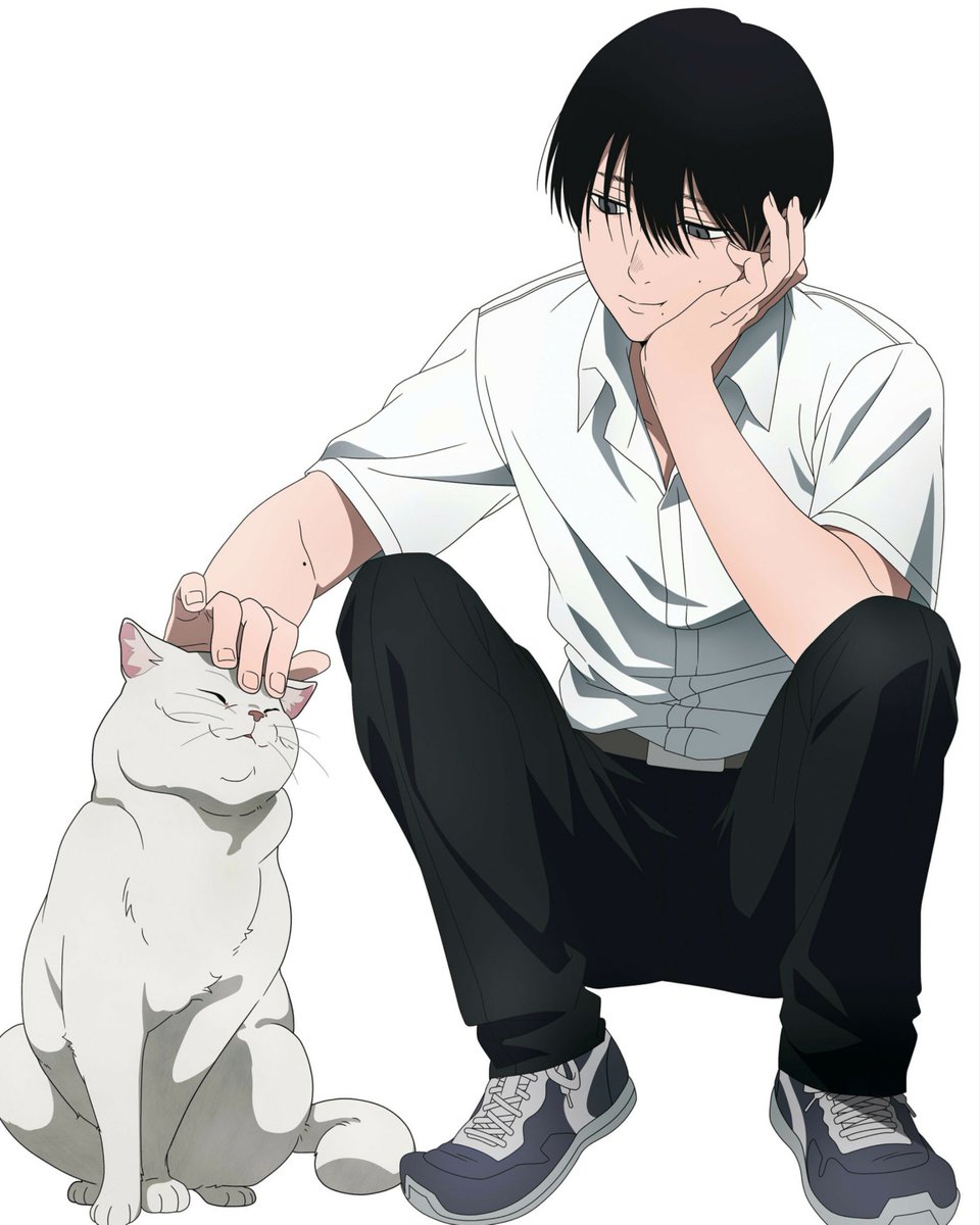 _No_v_a_'s tweet photo. Me bc l freaking love cats https://t.co/fQxgS6mE8v