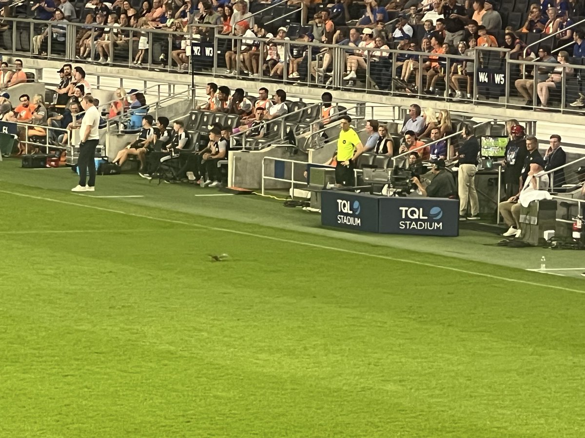 ThePrideCincy's tweet photo. SQUIRREL https://t.co/rFviMKXch6