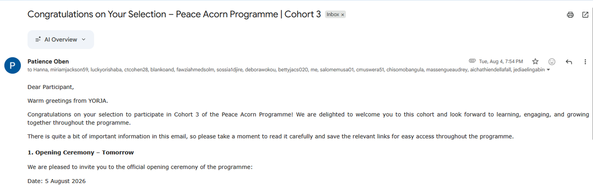 SellouJr's tweet photo. It's a wrap! So proud to have completed the Peace Acorns Training with @yorjaorg. I joined to learn more about Transitional Justice &amp; peacebuilding in post-conflict nations from other young Africans. It was an amazing experience! Big thanks to the team, facilitators, &amp; my peers. https://t.co/IakEIjvM9L